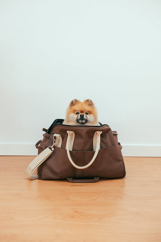 (Optional) einmalige Hunde-Pauschale -pro Hund